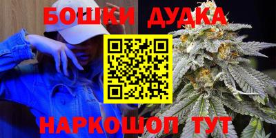 МДПВ Будённовск