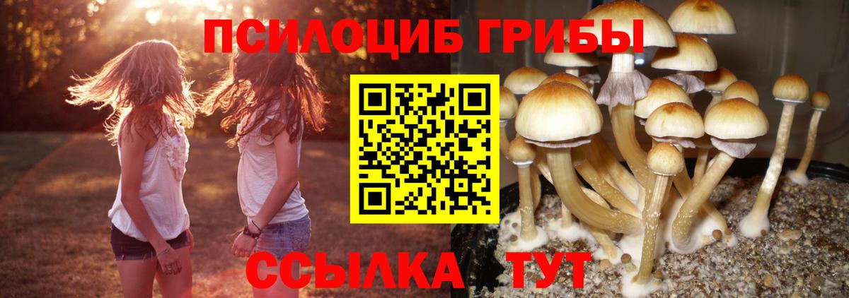 Чита  Псилоцибиновые грибы MAGIC MUSHROOMS  Вход с VPN 