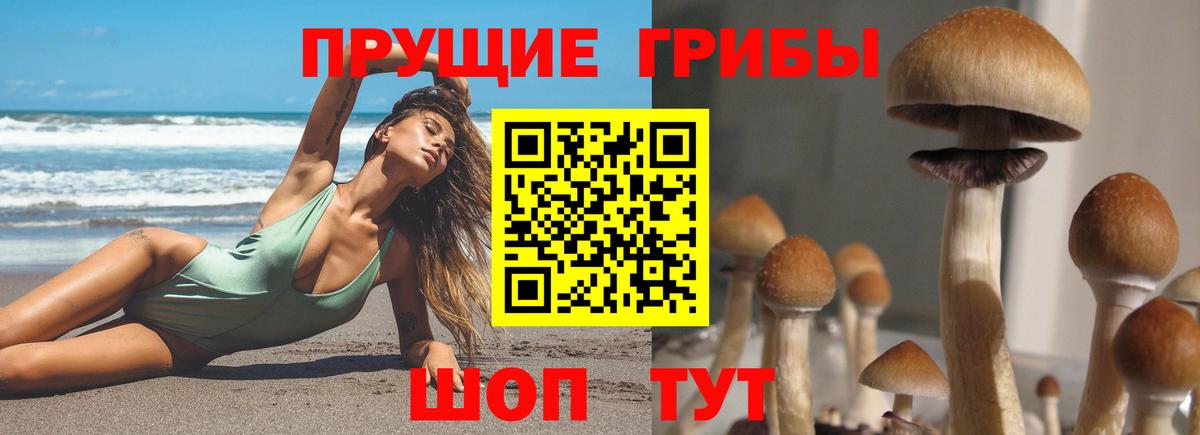 Псилоцибиновые грибы прущие грибы Чита