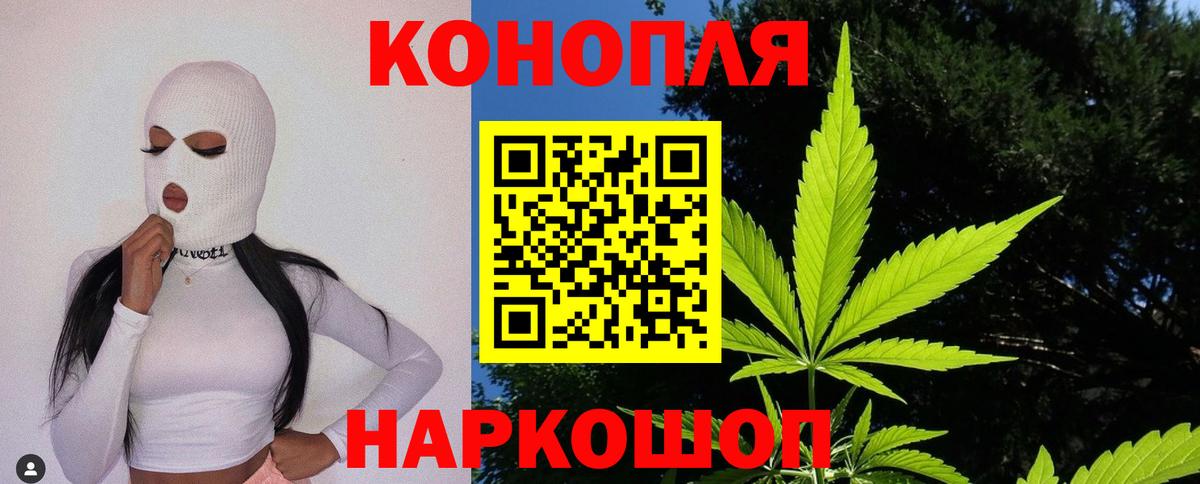 Бошки Шишки гибрид Чита
